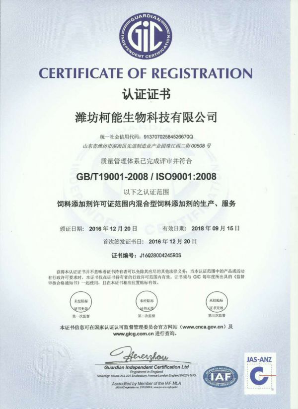ISO9001 quality